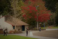 20181006_130856.webp