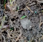 20181006_135338.webp