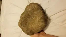 20180902_193944.webp