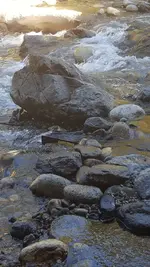 20180907_124643.webp