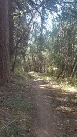20180907_112501.webp