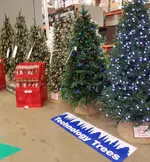 20181027_153453.webp