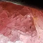 20180718_010138.webp