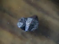 small crystal2.webp