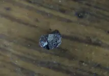 small crystal3.webp