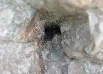 rock53.webp