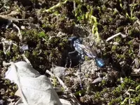 DSCN2312.webp