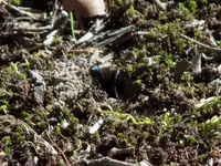 DSCN2303.webp