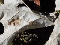 DSCN2315.webp