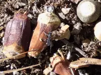 DSCN2319.webp