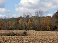 DSCN7761.webp