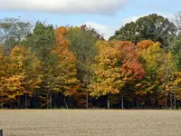 DSCN7765.webp