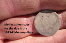 7 silvers from the median 001.JPG