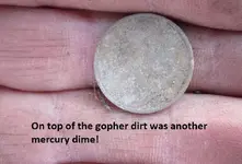 7 silvers from the median 005.webp