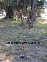 7 silvers from the median 006.webp
