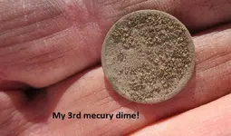 7 silvers from the median 009.webp