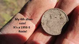 7 silvers from the median 015.webp