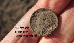 7 silvers from the median 018.JPG