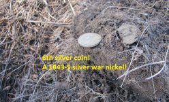 7 silvers from the median 019.JPG