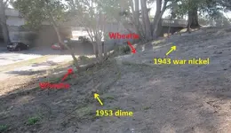 7 silvers from the median 021.webp