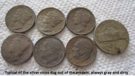 7 silvers from the median 027.JPG