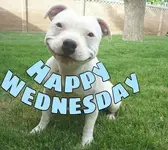 5ec4486230ec28695caa71905d5b9bb7.webp