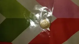 15381162221862000894255858367145.webp