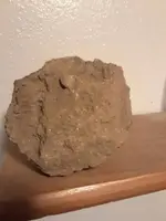 20181007_203707.webp