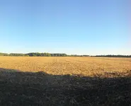 WP_20180923_07_55_04_Panorama (2).webp