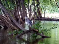 K1600_DSCN0528.webp