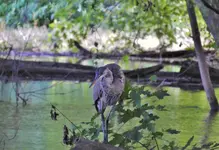 K1600_DSCN0536.webp