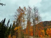trip 091918 4.webp