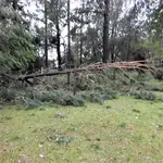 DSCN1512 2.webp