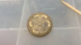 goldgilted2piecebutton.webp