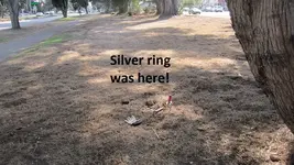 2 merc dimes & a silver ring 003.webp