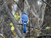 K1600_DSCN1643.webp
