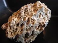 IMGP0003.webp
