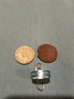 Euro & Ring.webp