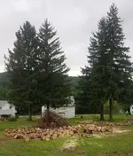 20180912_172429.webp