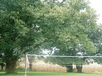 DSCF0011.webp