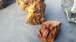 20181007_152743.webp