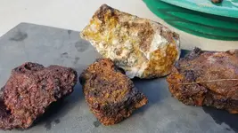20181007_152840.webp