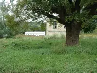 DSCF0011.webp