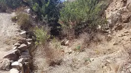 20181007_123511.webp