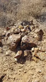 20181007_134703.webp
