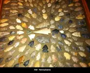 NW Collection.webp