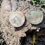 110418finds2.webp
