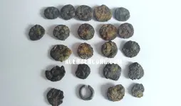 coin samudra pasai 1.webp coin samudra pasai 1.webp