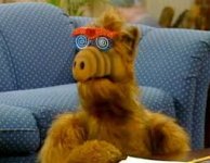Alf with hypnotic glasses.jpg