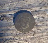 PA050552.webp